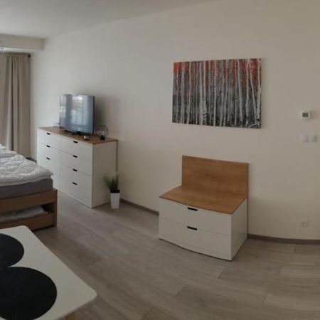 Apartment Korzo 318/3 Lipno nad Vltavou Kültér fotó